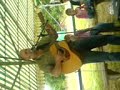 alain chante quand on na que l\