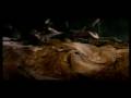 videos de The End 3
