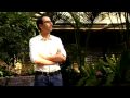 Radical Nature - Sustainable Architecture