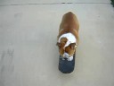 Otis the skateboarding bulldog