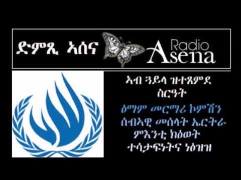 Voice of Assenna: Eritreans Should Support the UN Commission of Inquiry