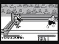 for more information on this game and others visit gamingring.com home of the wrestling games database