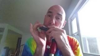  Chromatic Harmonica Tutorial & Review Videos