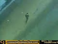 ucla-police-brutality-extremely-disturbing.html