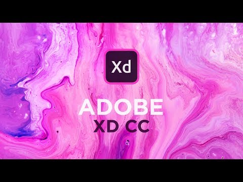 Adobe XD CC 2019 NEW Features!