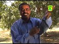 balochi music