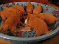 Daintree Duck Tollers- Eating at 4 weeks old