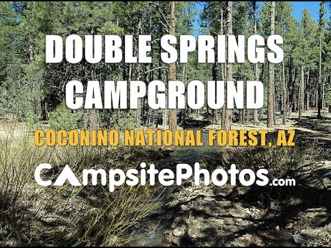 Double Springs Campground, Coconino National Forest, Arizona Campsite Photos