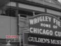 The Chicago Cubs Curse of the Goat