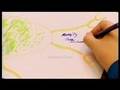 Tony Buzan - In search of genius 1 of 3 - buzanworld.com