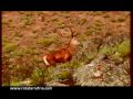 Rota da Terra Fria Transmontana (spot tv espanha)
