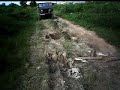 4wd in West Kalimantan 2