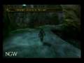 Zelda Twilight Princess - More Bugs - Zora's Domain