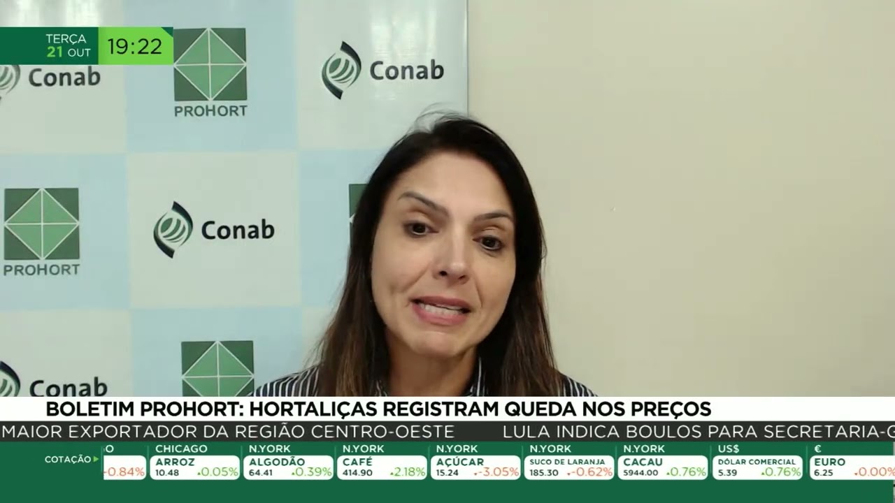 Boletim prohort: Hortaliças registram queda nos preços