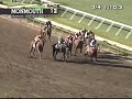 Coil earns a berth in the Breeders' Cup Classic with a victory in the Haskell Invitational at Monmouth Park on July 31, 2011.