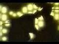 Tupac, Lloyd Banks- Can't C Me remix AMV