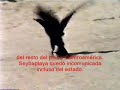 escenas de la devastaci�n ocasionada por el paso del hurac�n roxana en octubre de 1995 sobre seybaplaya, campeche, m�xico