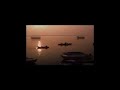 INDIA clip