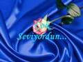SERDEM COSKUN ALCAK