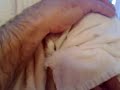 tila tequila shower video