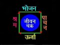 Science of Gayatri Yajna - Telugu Video Science of Gayatri Yajna - Telugu Video