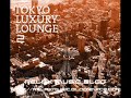 DJ Kawasaki Ft. Karin - Beautiful