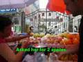 Greg's Harbin tour diary(sample2) - YouTube