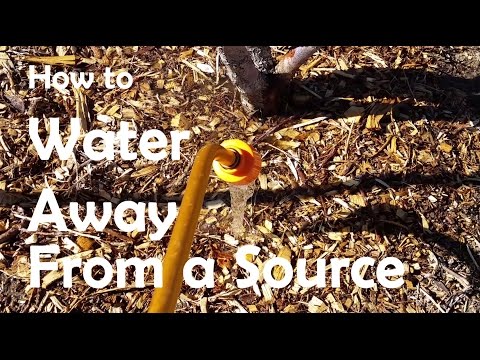 How to Water Trees Away from a Water Source