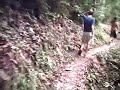 Jungle Hiking in Northern Trinidad