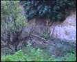 EL SALTO DE CHELLA