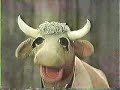 classic sesame street   gladys the cow vs  elmo