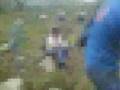 exenic 4 live AMC