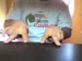 videos de Gerald Cuadra