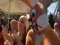 Lollies - Z'ruck zu Dir (Hallo Klaus) - TV Auftritt ARD