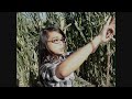 THE CORN MAZE TRAILER 12/12/12