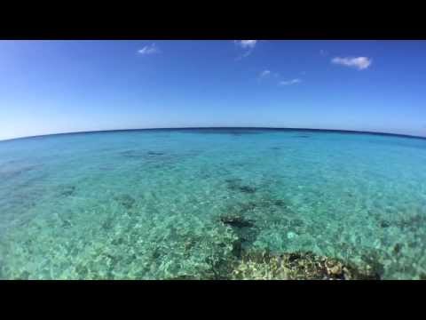 iPhone 5 Underwater - No Filters!!!