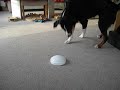 Clicker�bungen Part1