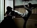 DJ Shadow & Cut Chemist BrainFreeze Mashup - VJ Fader