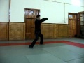 18 forms Chenshi taijiquan