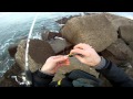 View Video