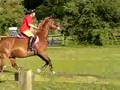 Sheridon Jumping Lesson 2