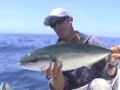Skiff Fishing- Thresher  Shark and Yellowtail