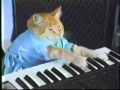 videos de Play Him Off Keyboard Cat
