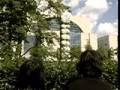  - MovieZen Video
