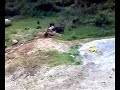 Bangalore to OOty- Passing through Bandipur Bangalore to OOty- Passing through Bandipur