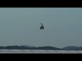 50 Jahre Heeresflieger Fritzlar Bell UH-1D 50 Jahre Heeresflieger Fritzlar Bell UH-1D