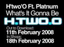 H'two'O ft Platnum - Whats It Gonna Be