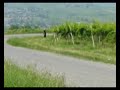 Voltan al Rally del Pinot