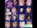 Sum 41 - Nothing On My Back