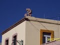 zacatecas